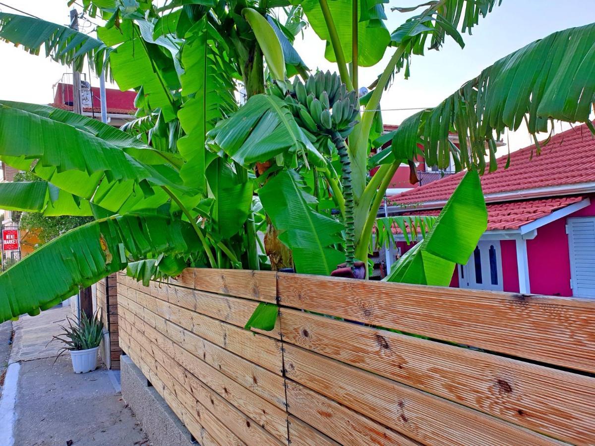 Aloe House Lakithra Βίλα Εξωτερικό φωτογραφία