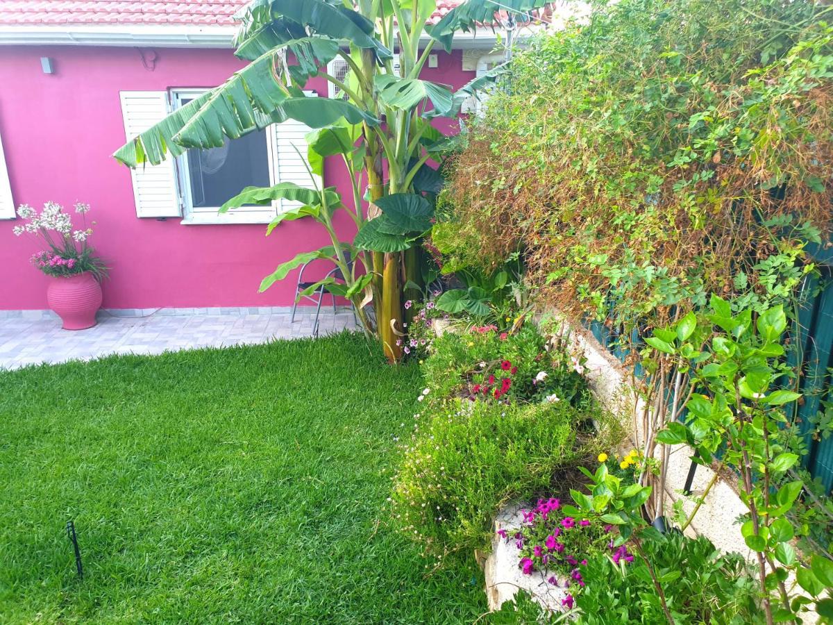 Aloe House Lakithra Βίλα Εξωτερικό φωτογραφία