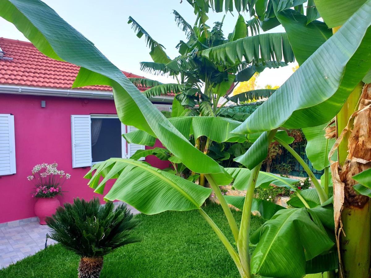 Aloe House Lakithra Βίλα Εξωτερικό φωτογραφία