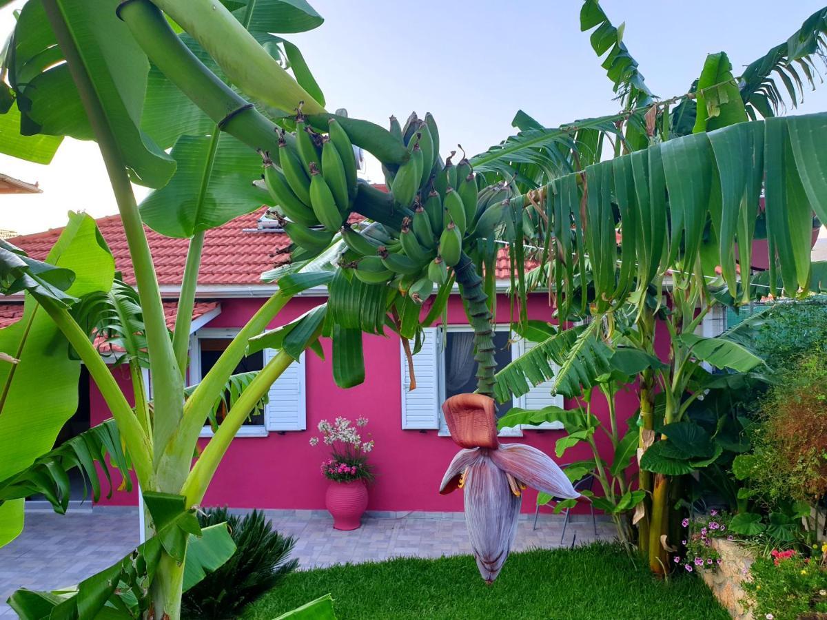 Aloe House Lakithra Βίλα Εξωτερικό φωτογραφία