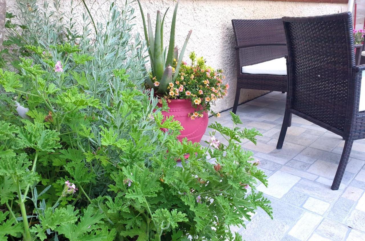 Aloe House Lakithra Βίλα Εξωτερικό φωτογραφία